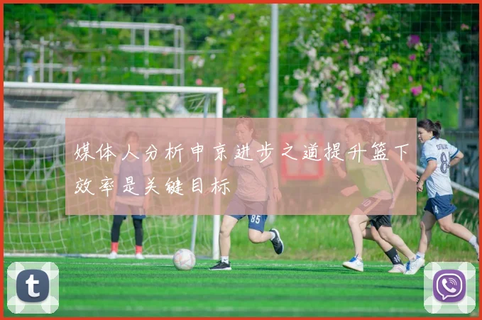 媒体人分析申京进步之道提升篮下效率是关键目标